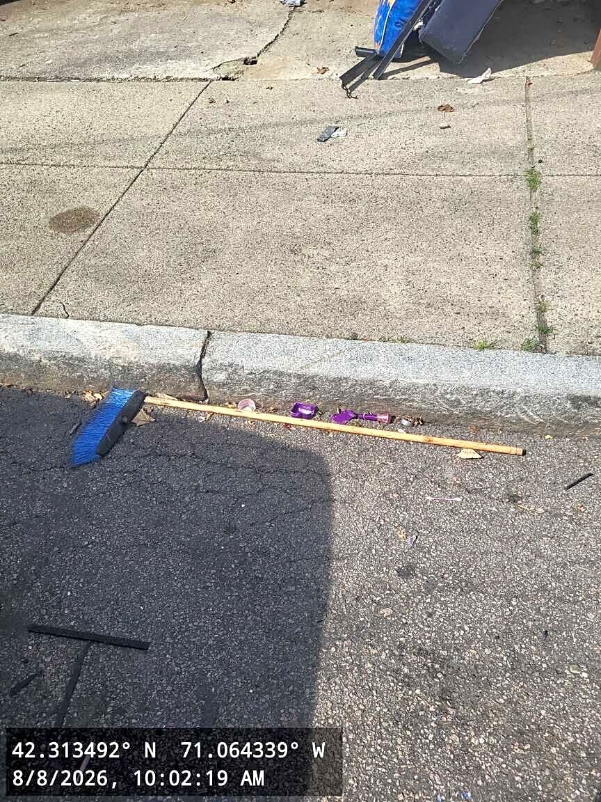 Image submitted with report