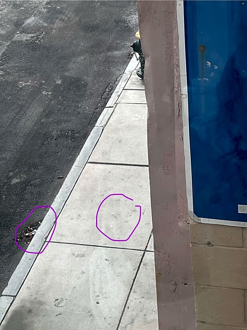 Image submitted with report