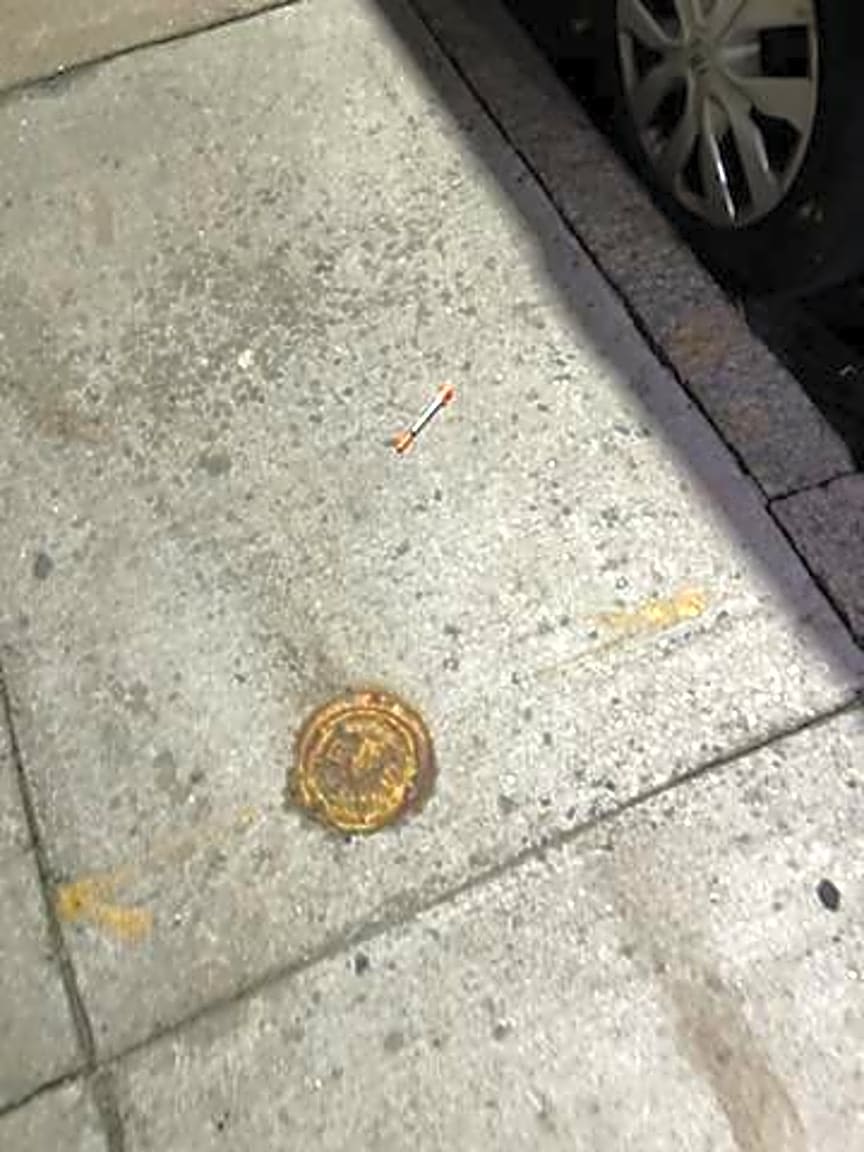 Image submitted with report