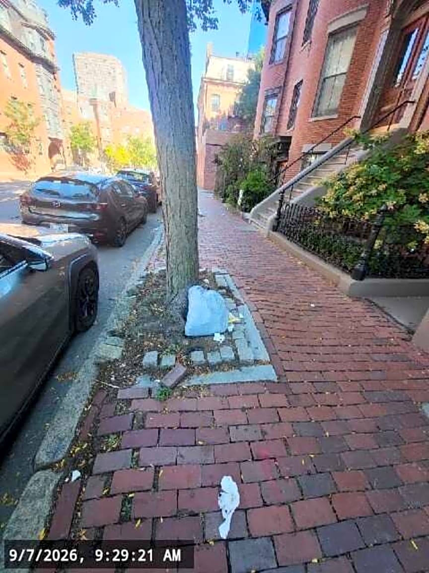 Image submitted with report