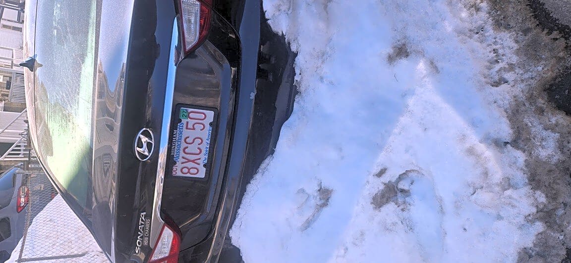 Image submitted with report