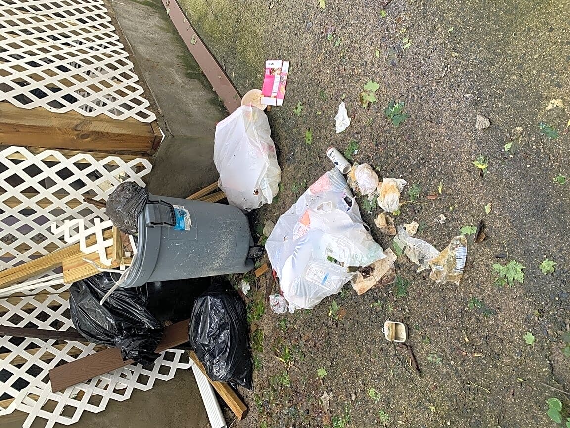Image submitted with report
