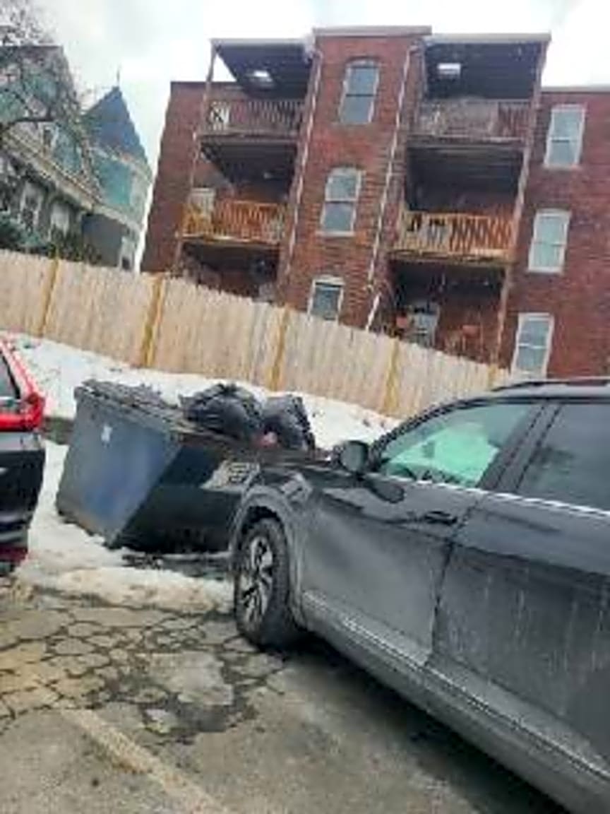 Image submitted with report