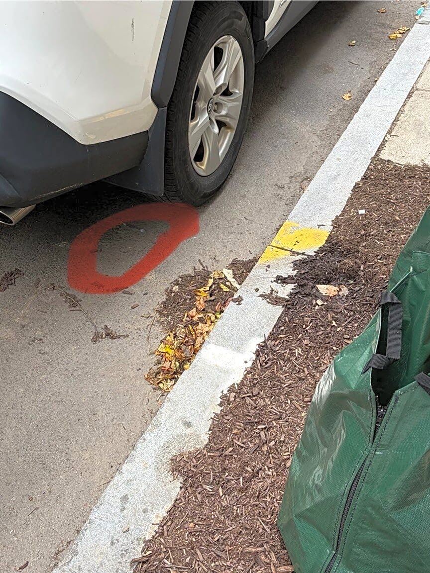 Image submitted with report