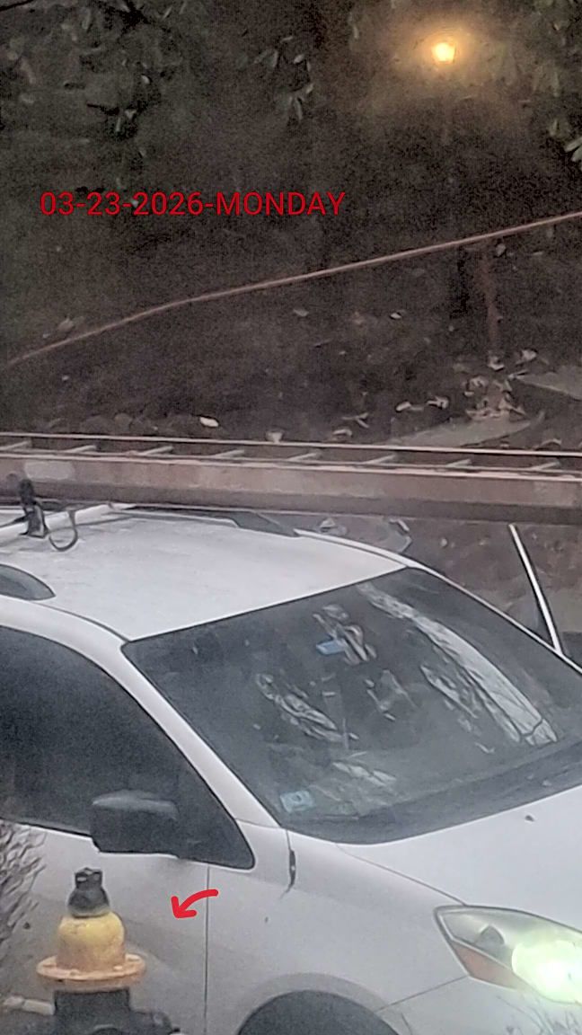 Image submitted with report