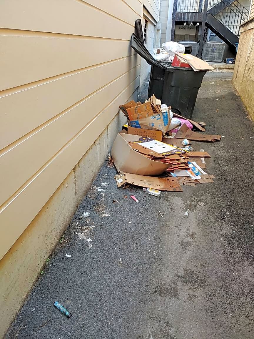 Image submitted with report