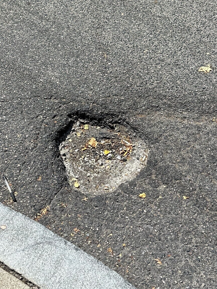 Image submitted with report