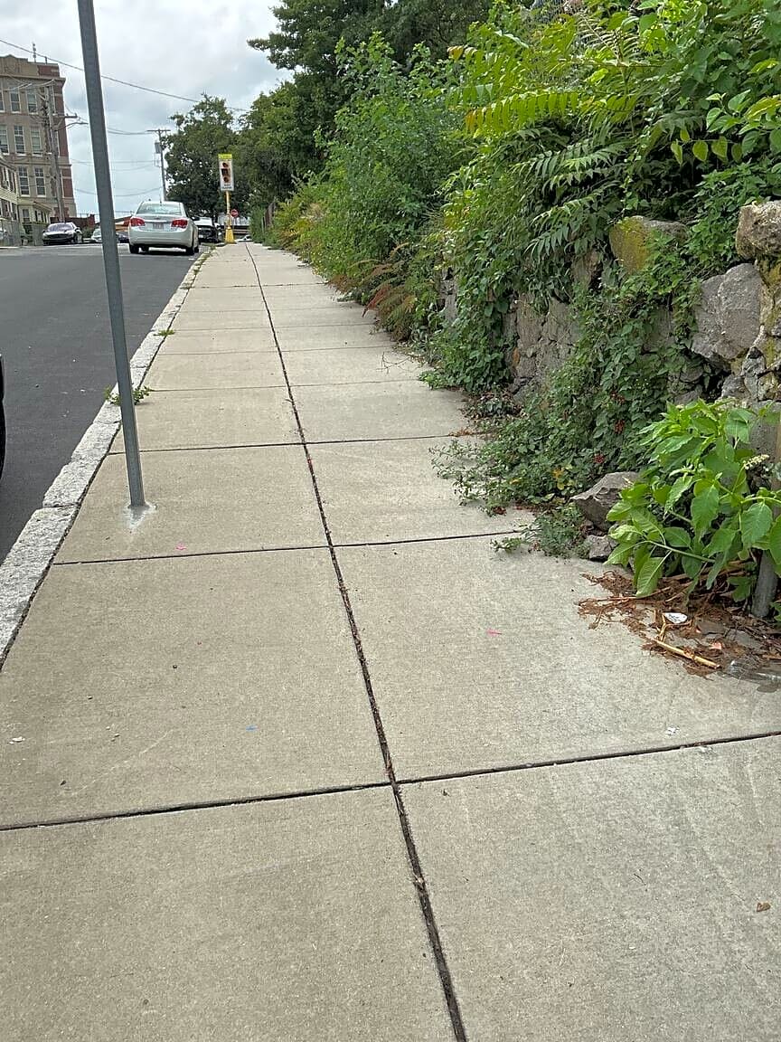 Image submitted with report