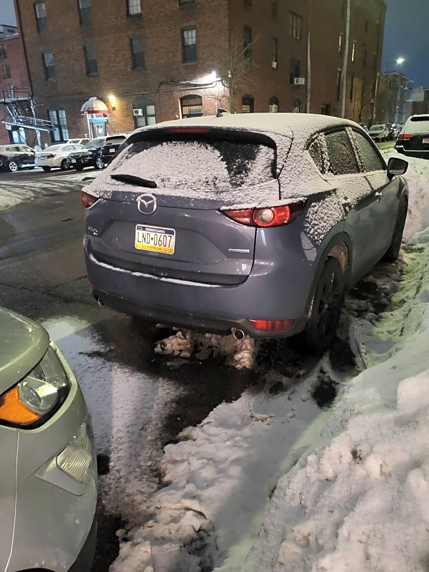 Image submitted with report