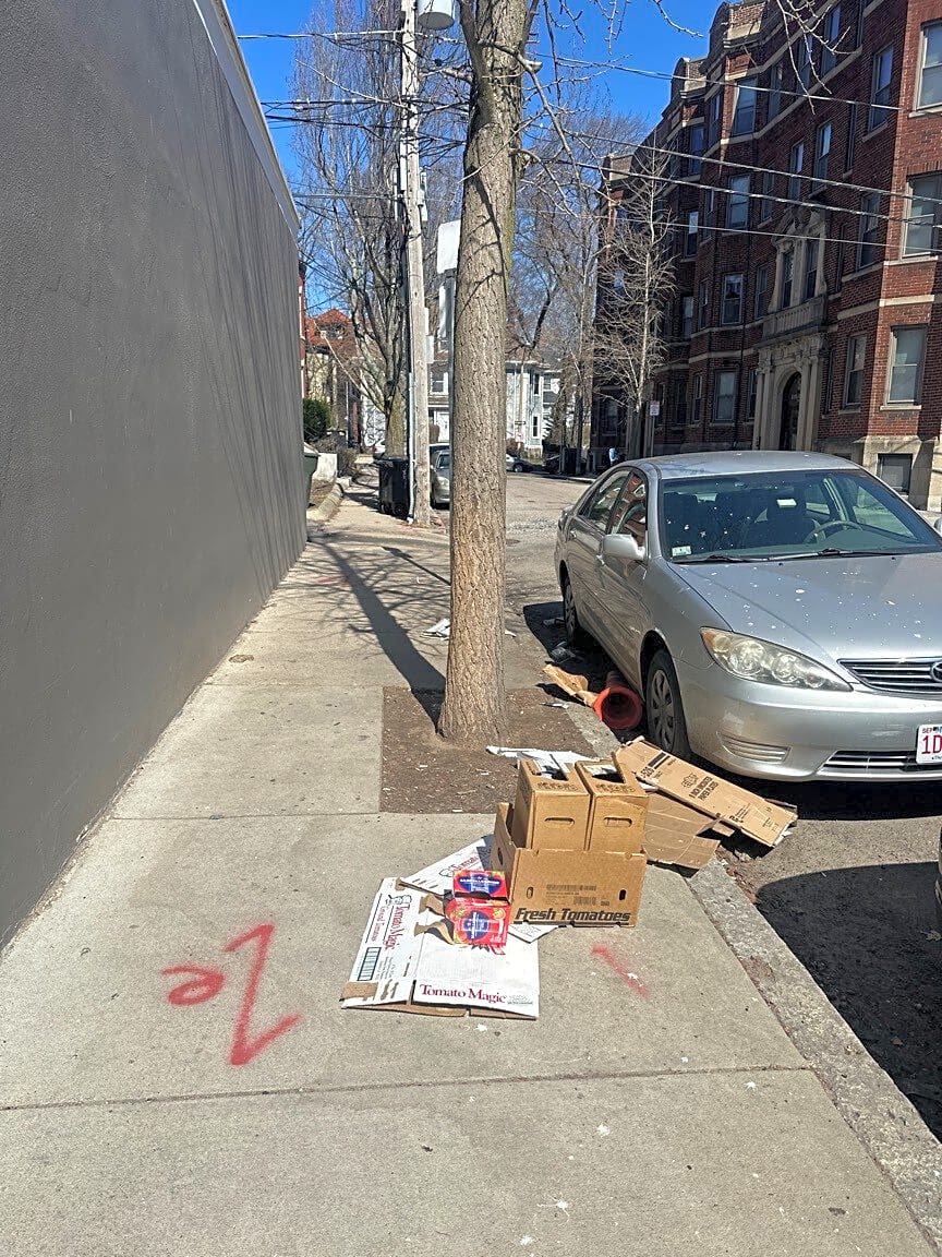 Image submitted with report