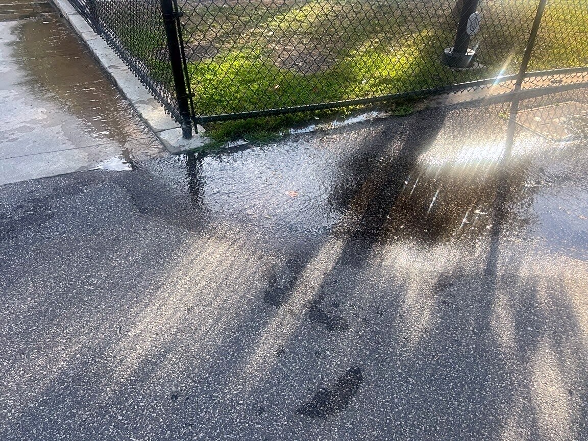 Image submitted with report