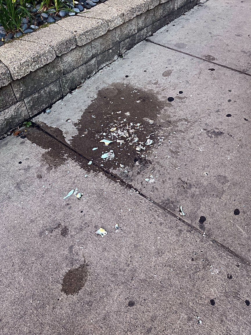Image submitted with report