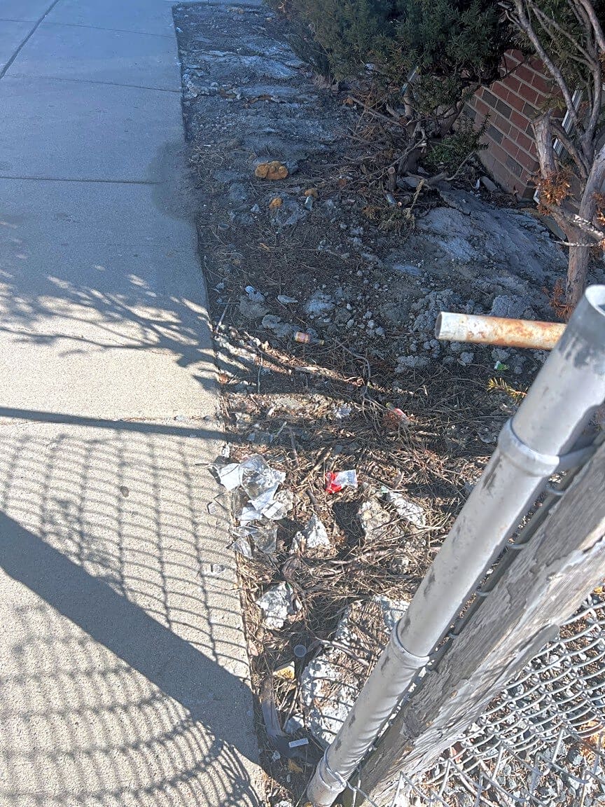 Image submitted with report