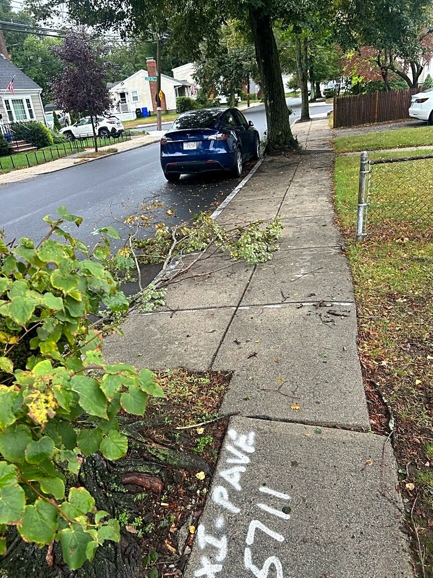 Image submitted with report