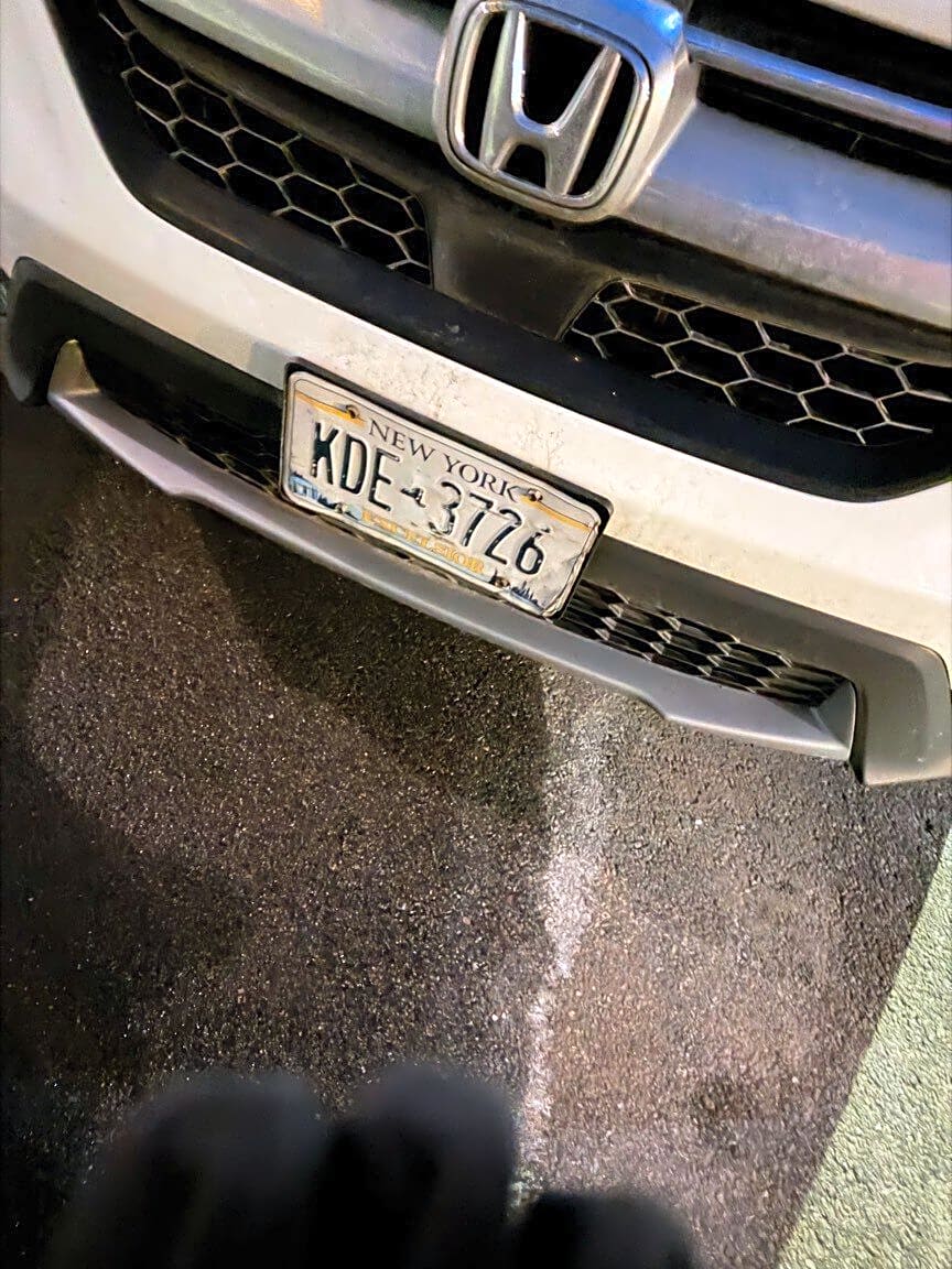 Image submitted with report