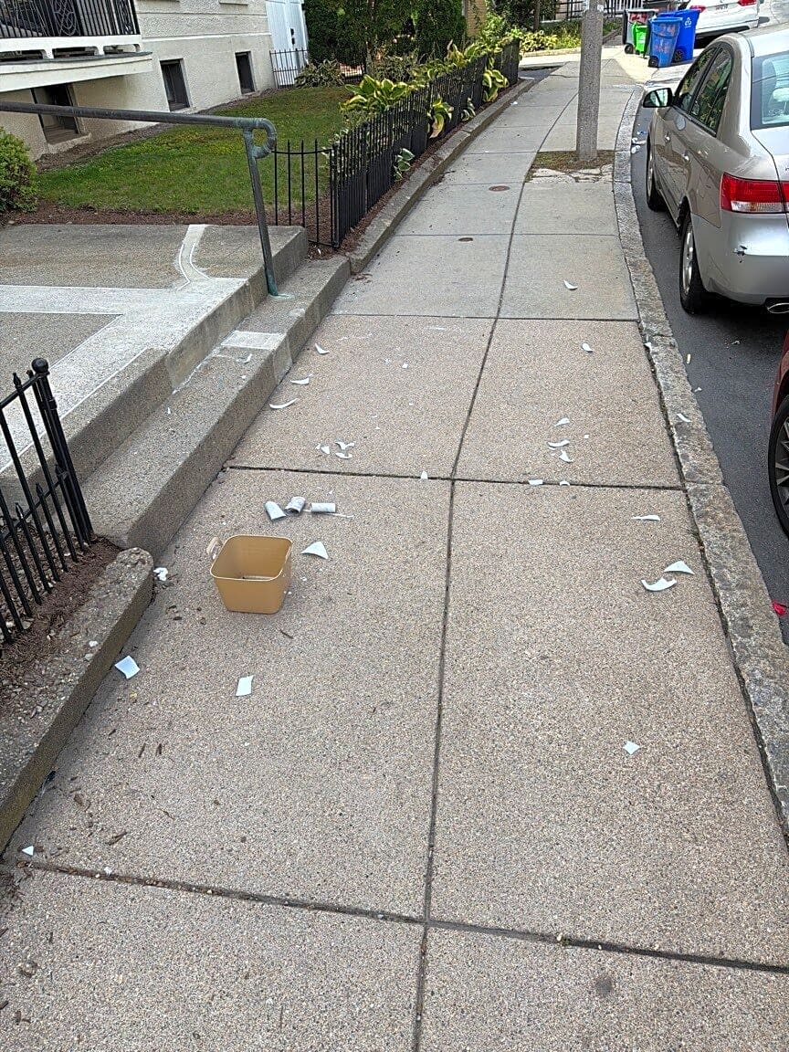 Image submitted with report
