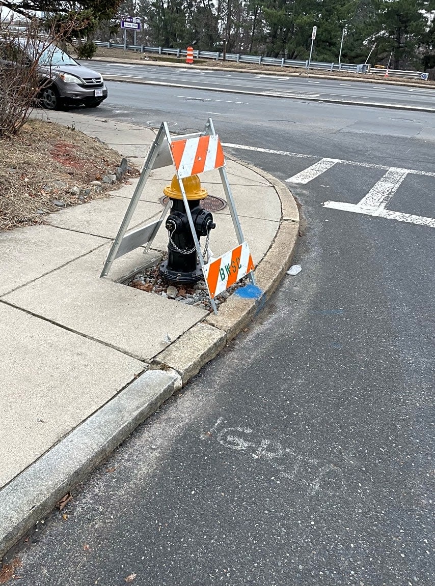 Image submitted with report