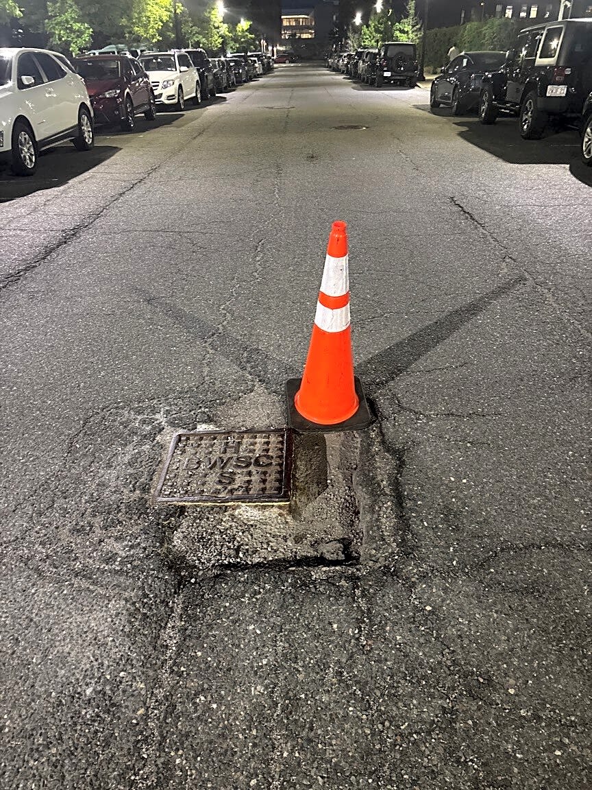 Image submitted with report