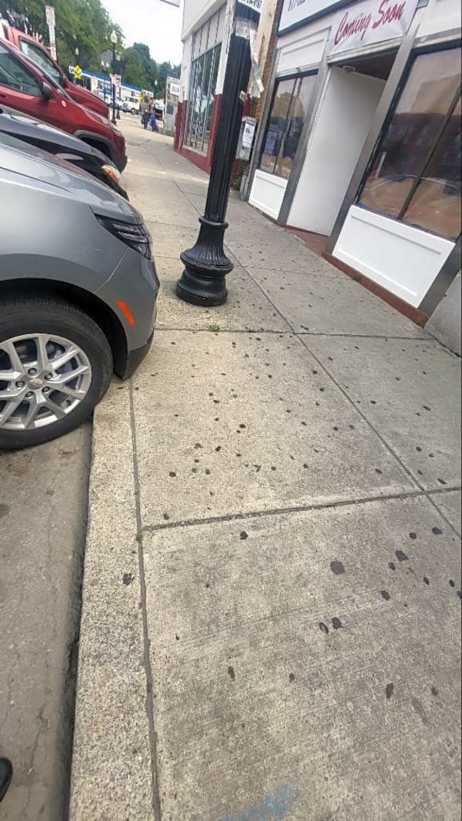 Image submitted with report