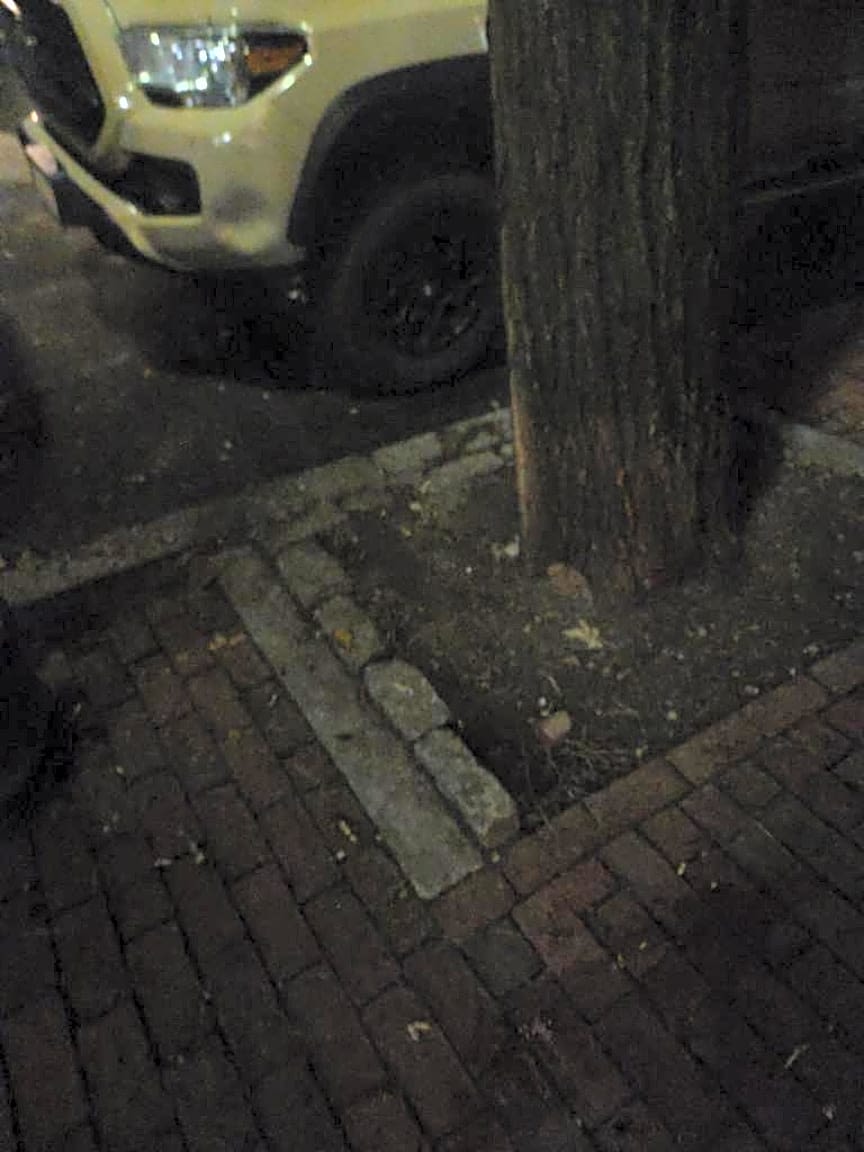 Image submitted with report