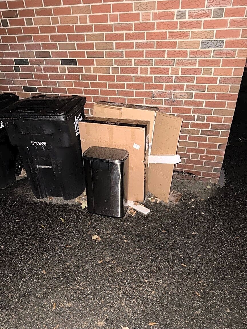 Image submitted with report