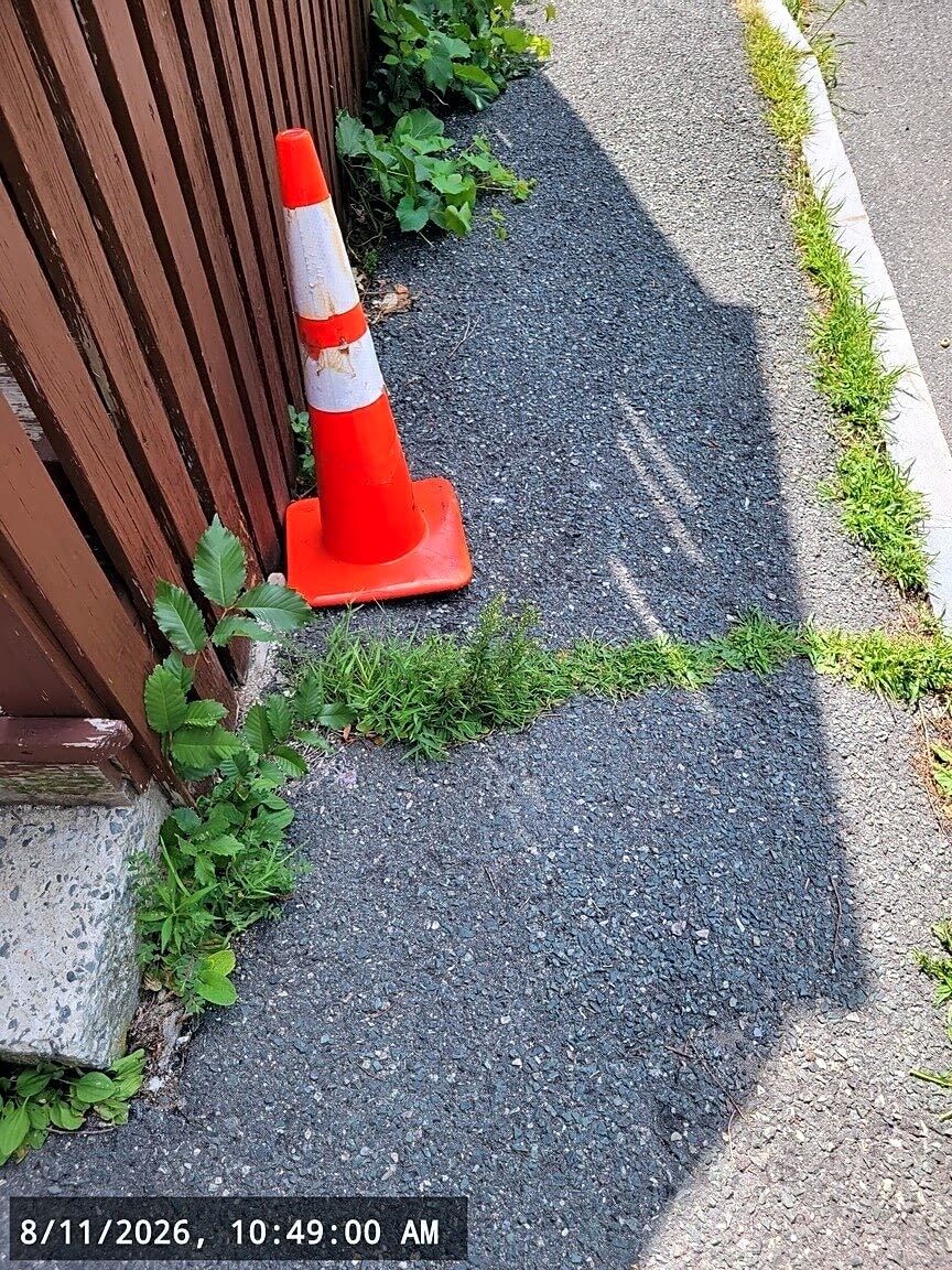 Image submitted with report