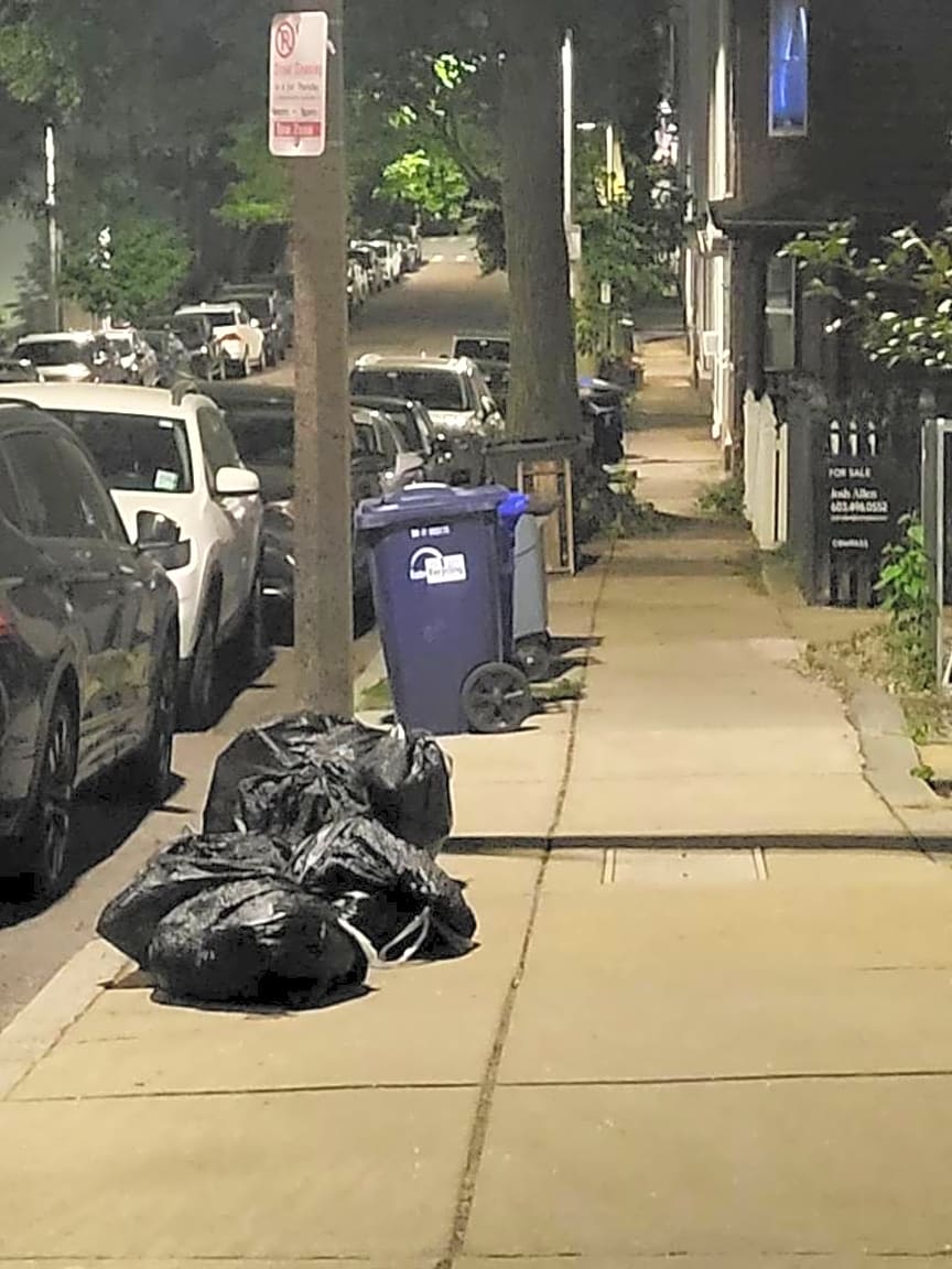 Image submitted with report