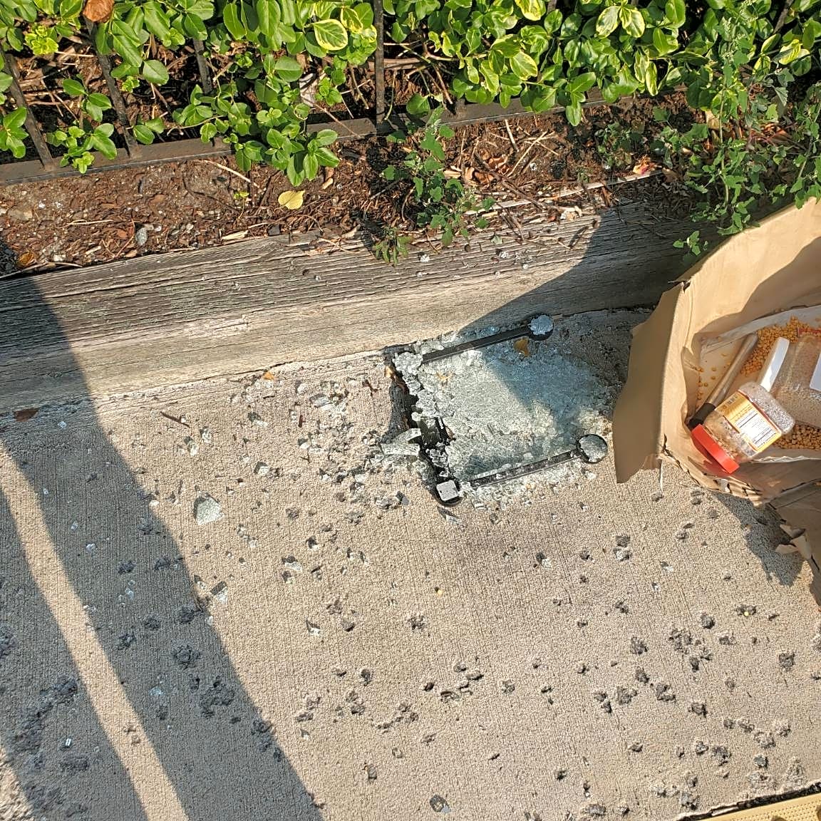 Image submitted with report