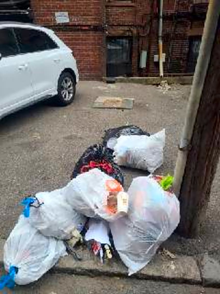 Image submitted with report