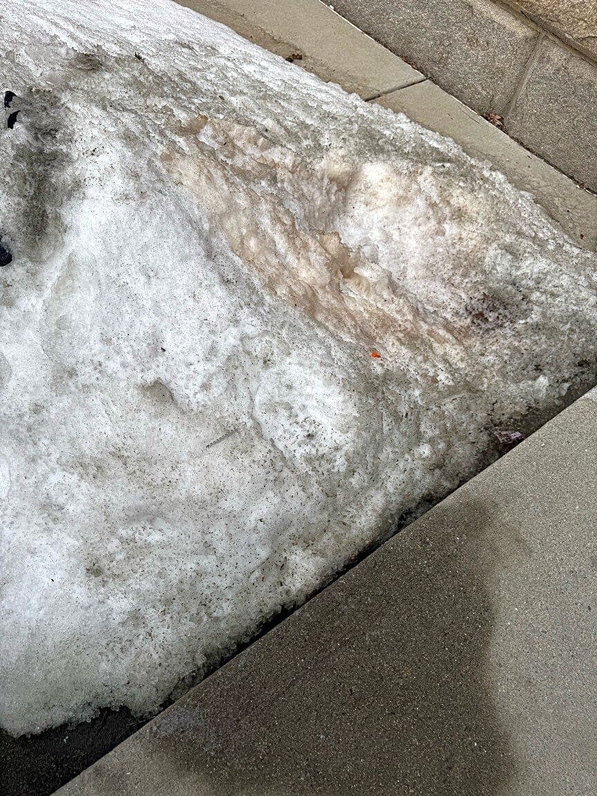 Image submitted with report