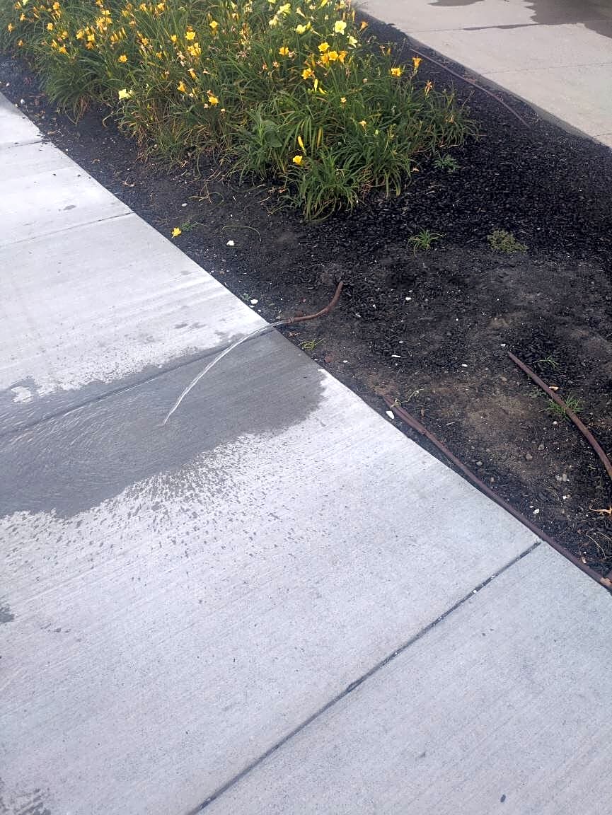 Image submitted with report