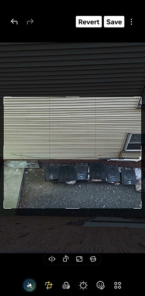 Image submitted with report
