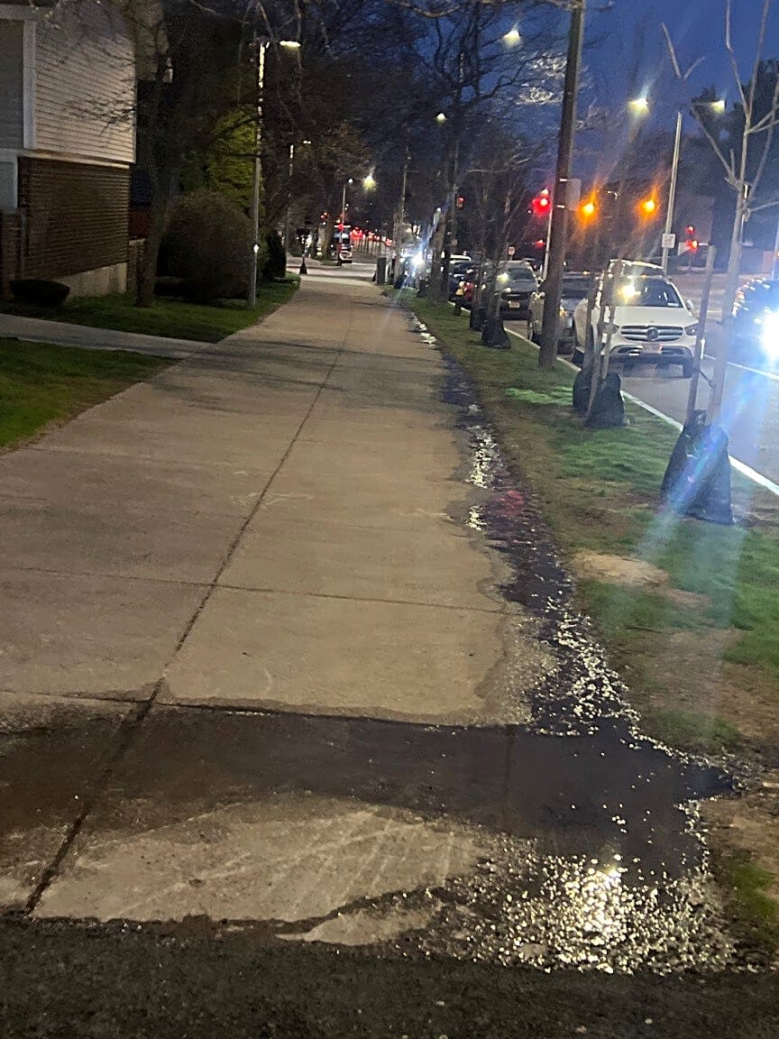 Image submitted with report