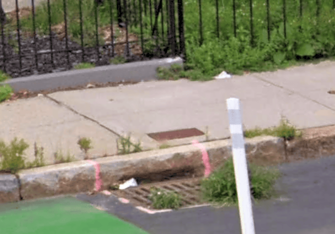 Image submitted with report