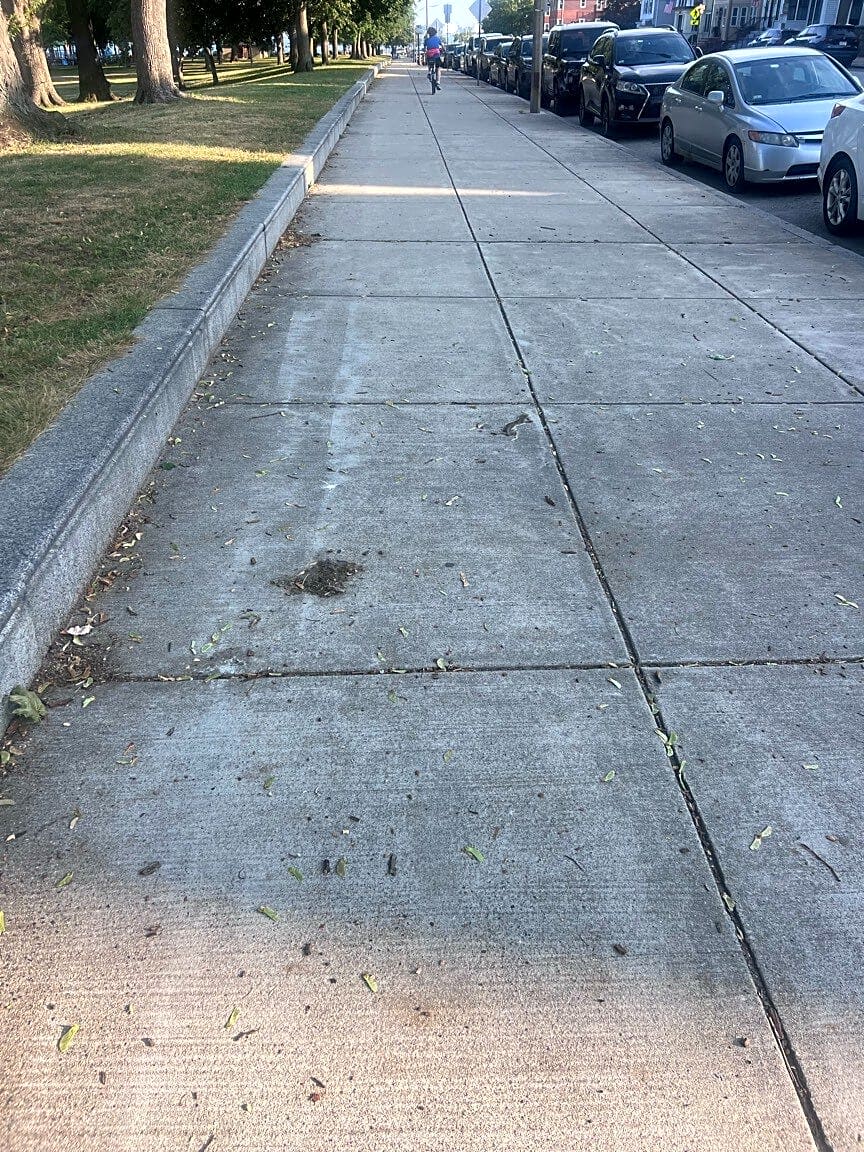 Image submitted with report