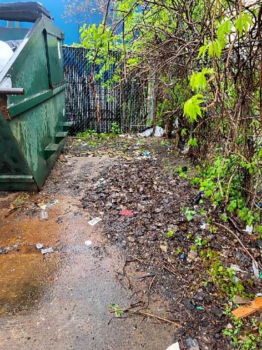 Image submitted with report