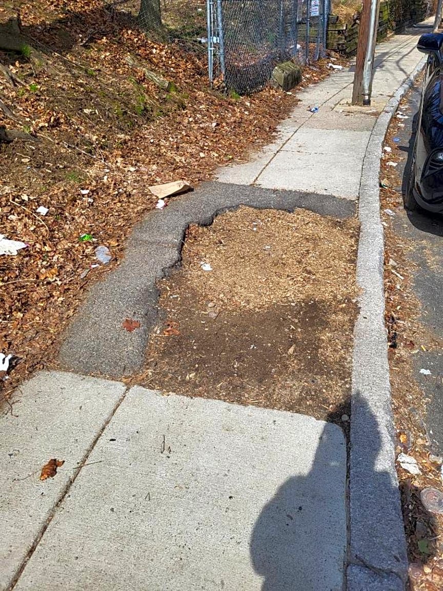 Image submitted with report