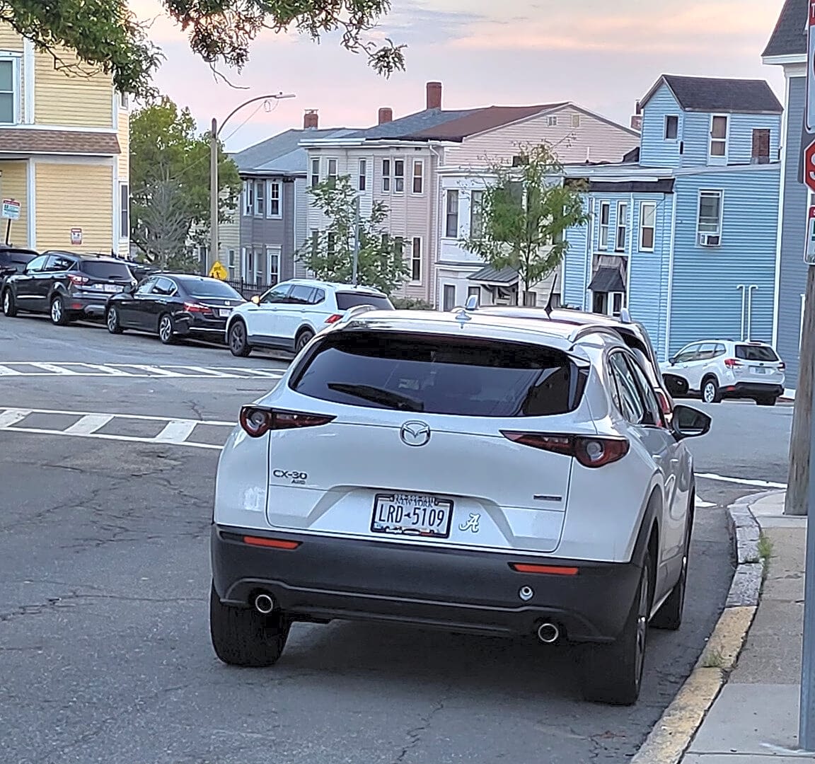 Image submitted with report