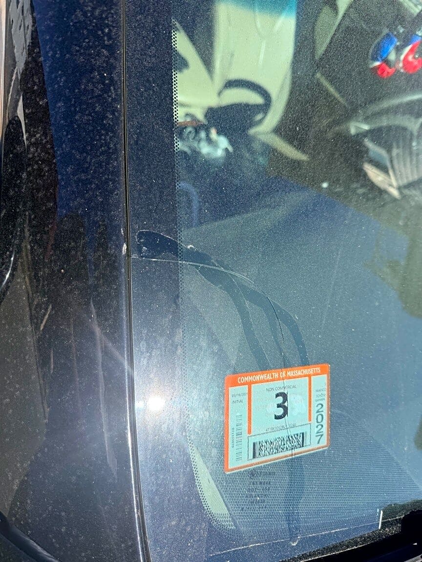 Image submitted with report
