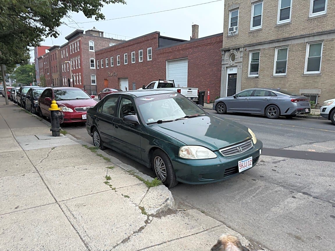 Image submitted with report