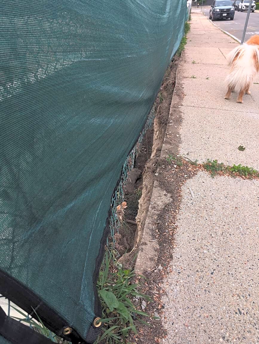 Image submitted with report