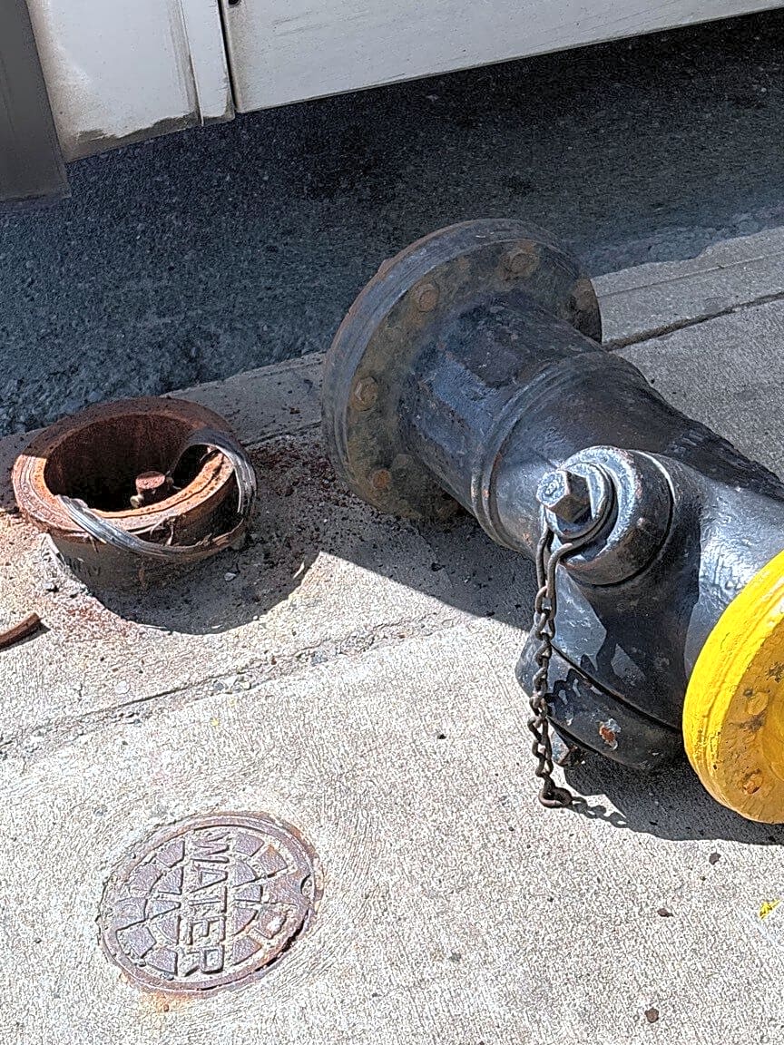 Image submitted with report