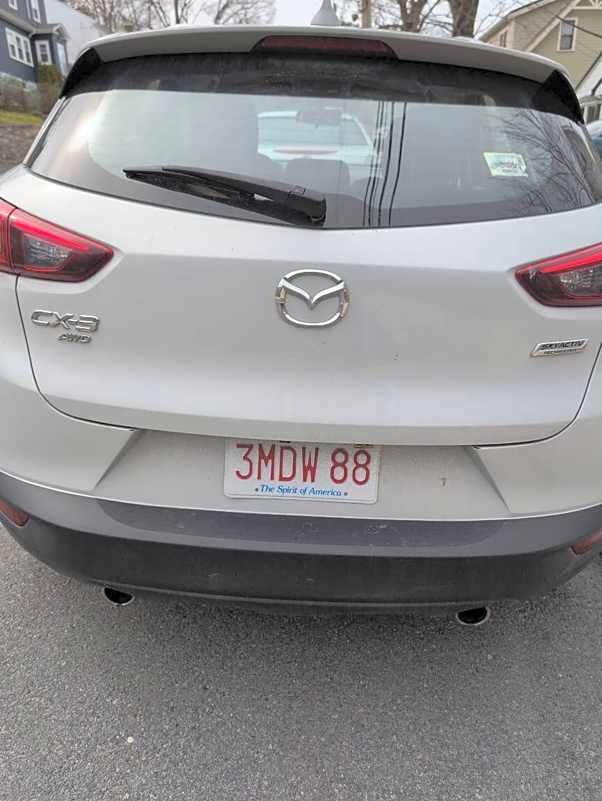 Image submitted with report