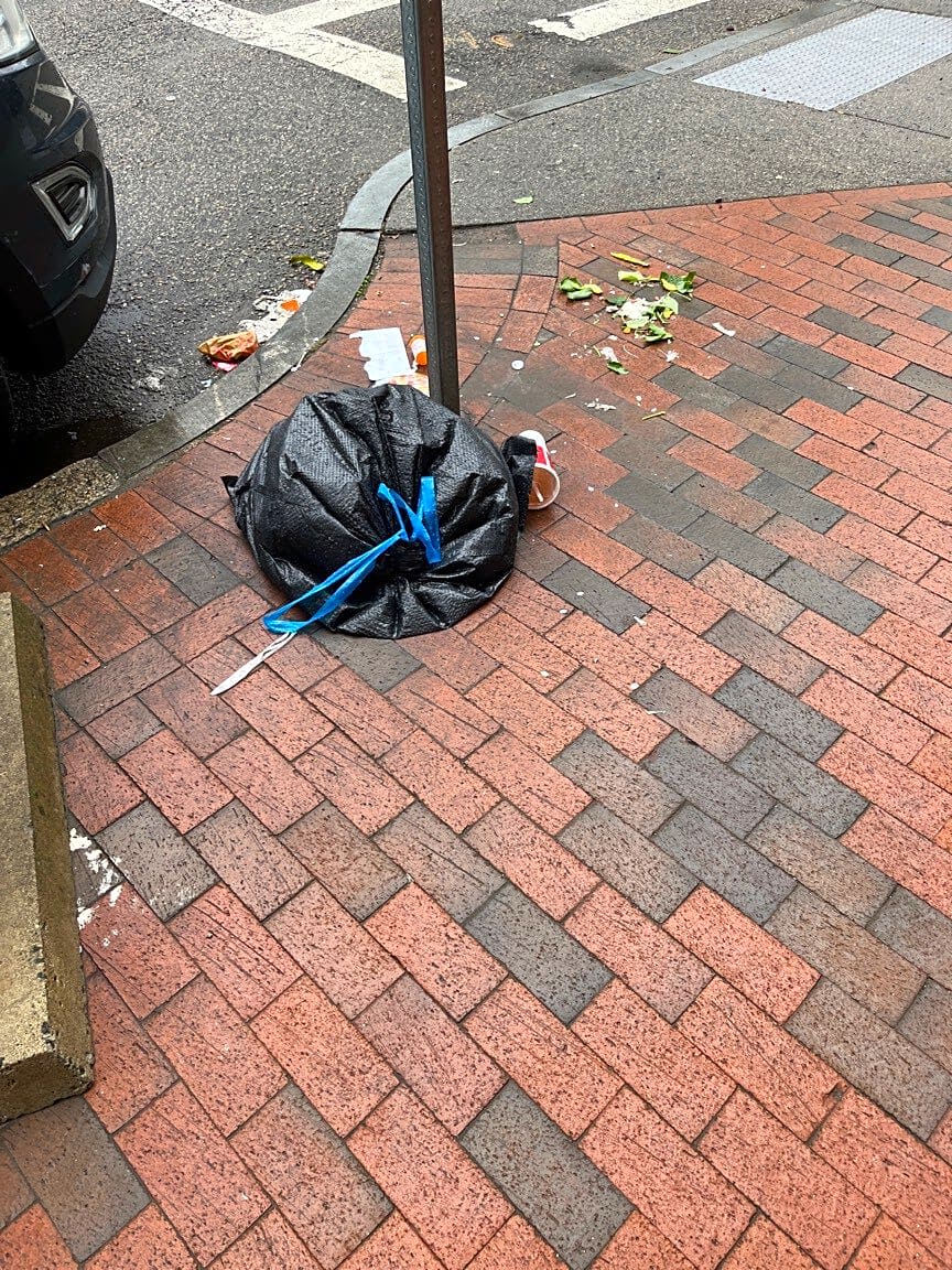 Image submitted with report