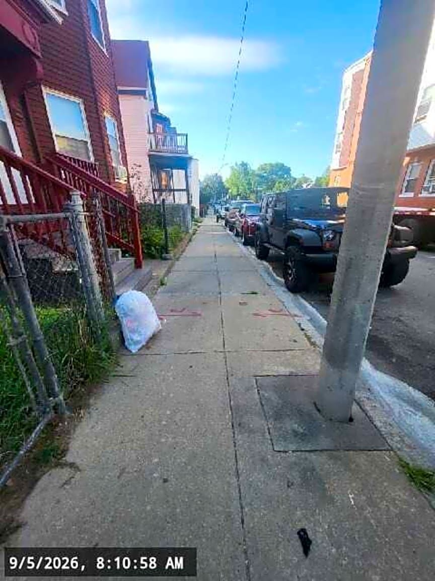 Image submitted with report