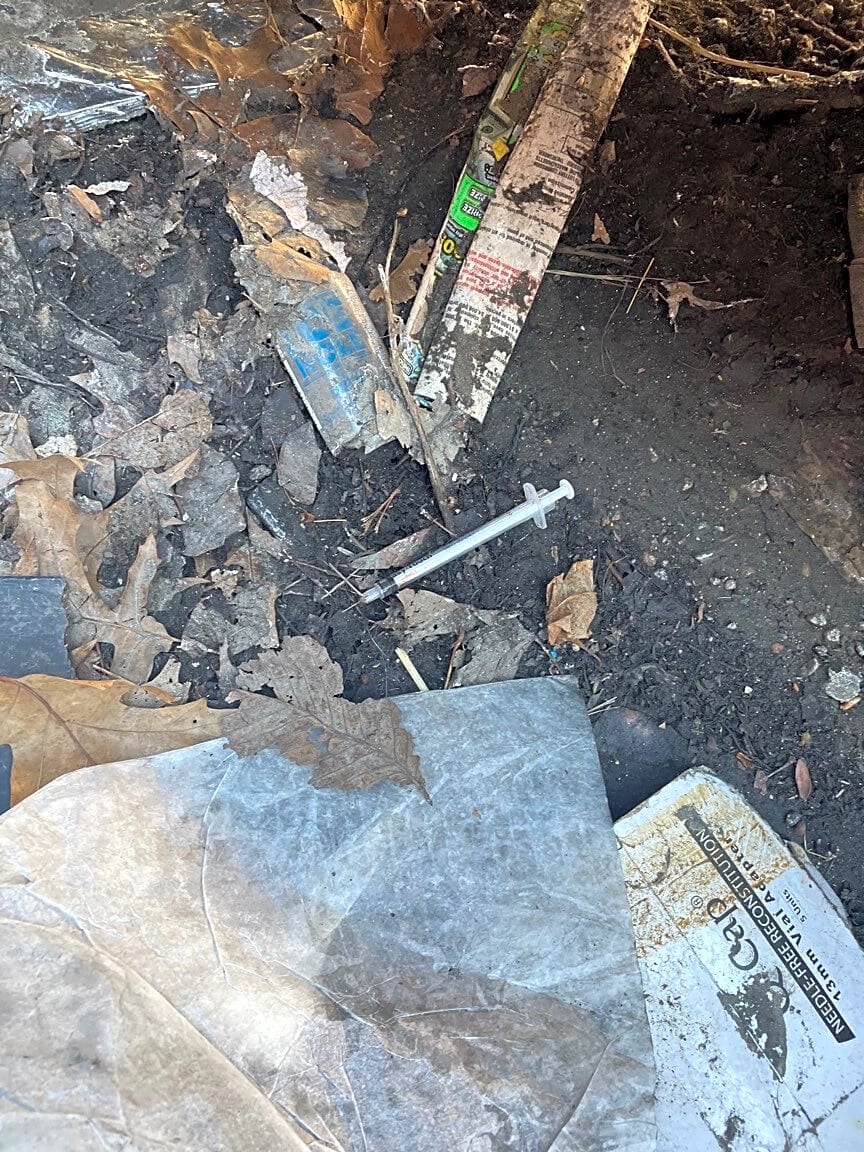 Image submitted with report