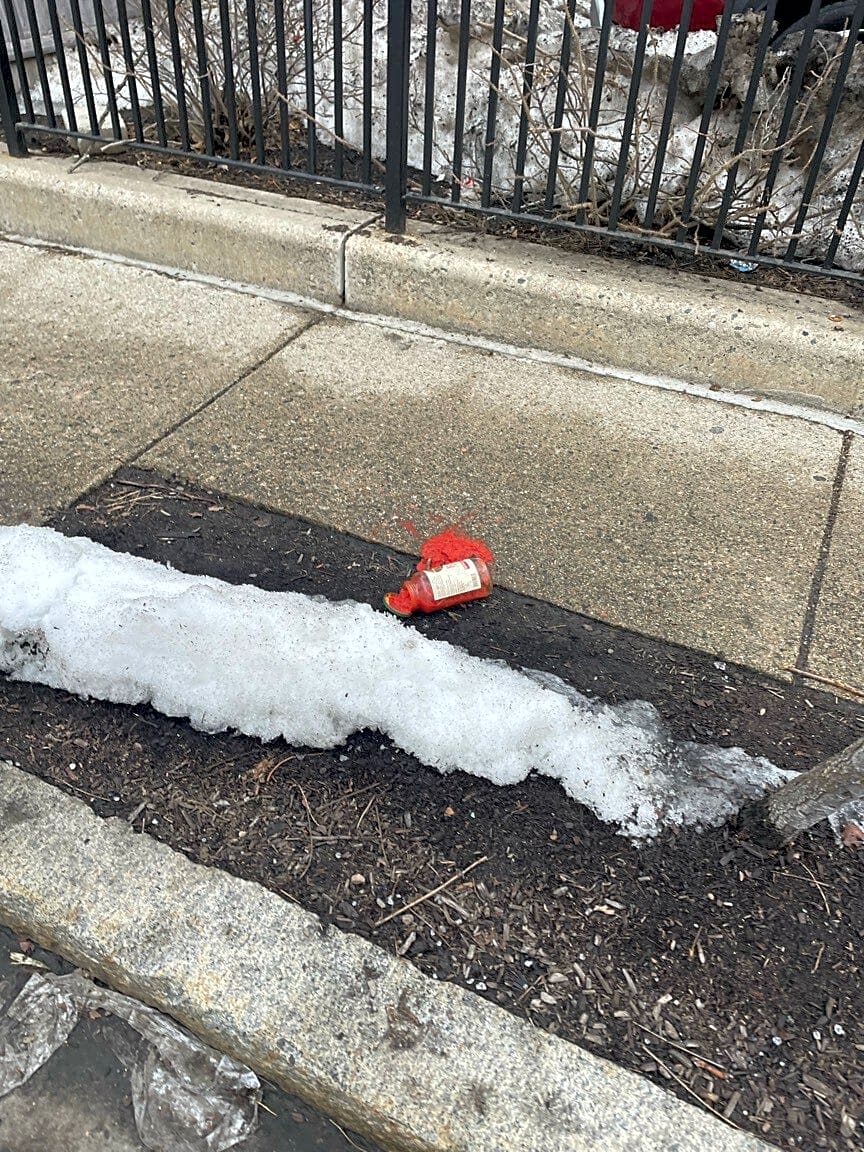 Image submitted with report