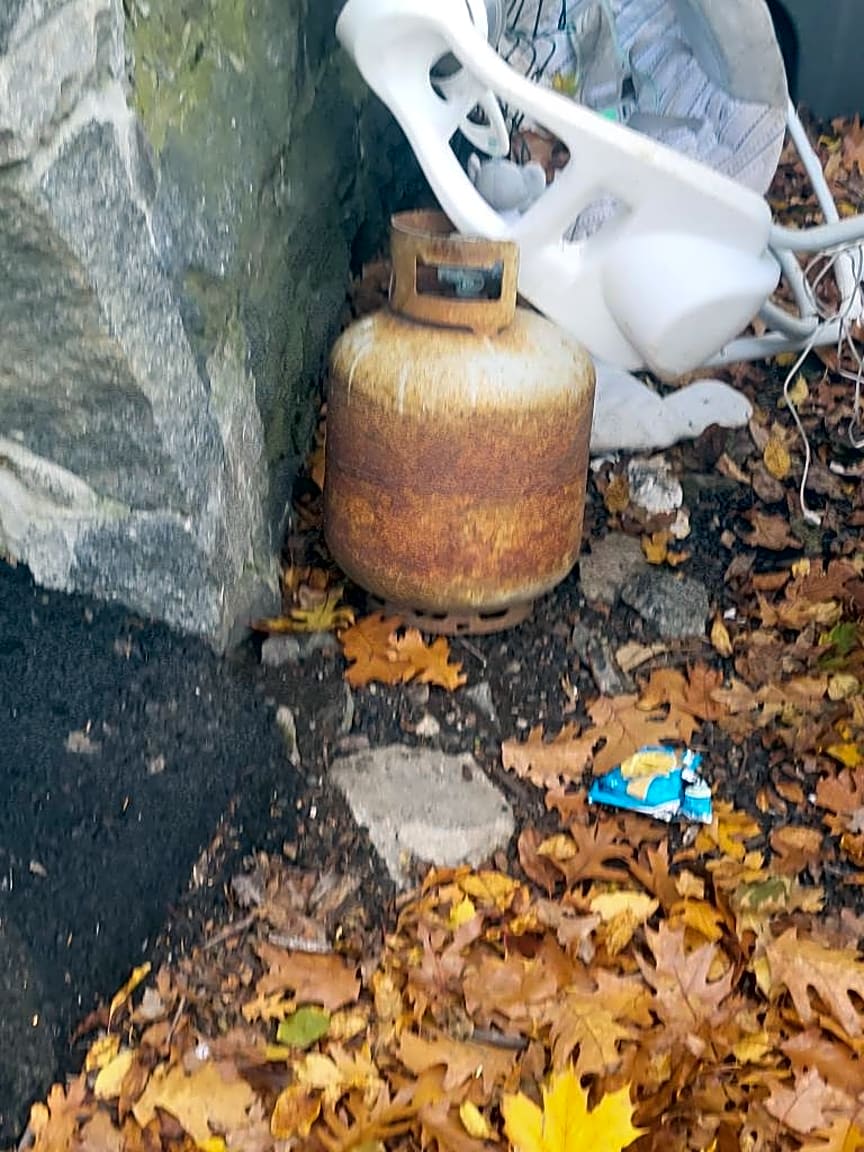 Image submitted with report