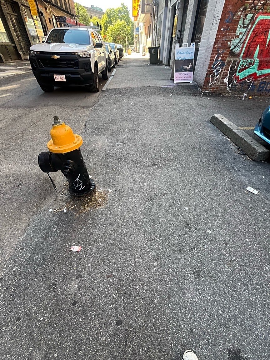 Image submitted with report