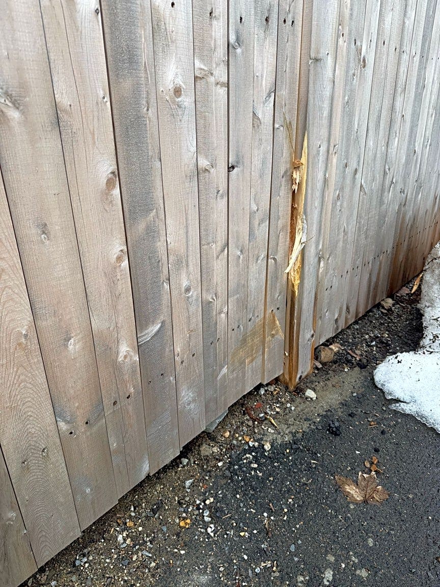 Image submitted with report